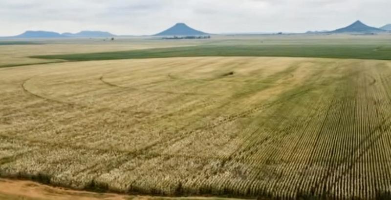 0 Bedroom Property for Sale in Bloemfontein Rural Free State